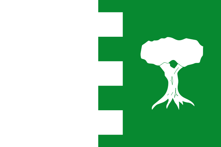 Bandera de Agrón