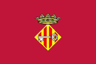 Bandera de Alcira
