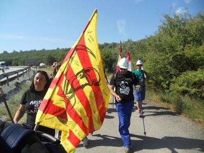 Bandera de Alcolea del Pinar