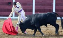 Bandera de Almadenejos
