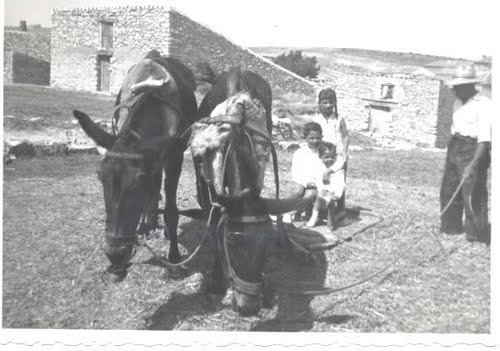 Bandera de Anquela del Pedregal
