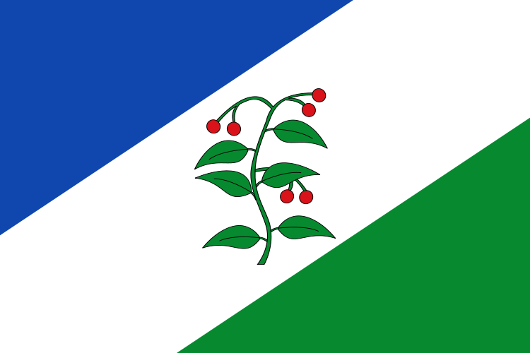 Bandera de Arbúcies