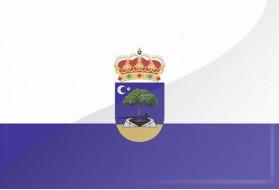 Bandera de Arenales de San Gregorio