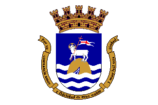 Bandera de Arenas de San Juan