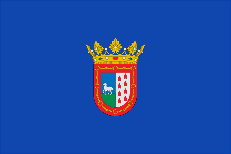 Bandera de Berriozar