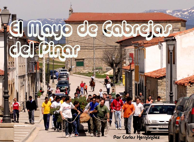 Bandera de Cabrejas del Pinar