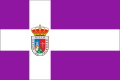 Bandera de Casar de Palomero