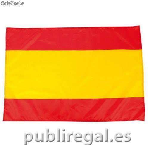 Bandera de Caseres