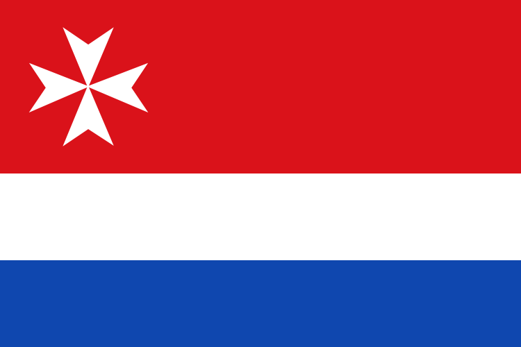 Bandera de Castrillo de Villavega