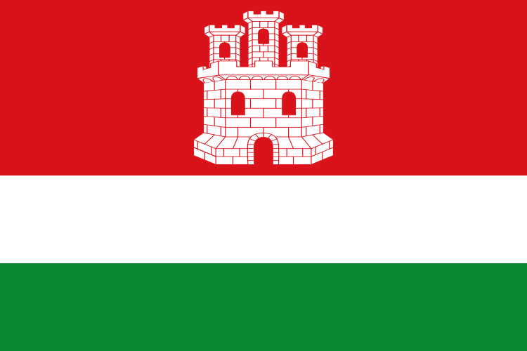 Bandera de Castrotierra de Valmadrigal