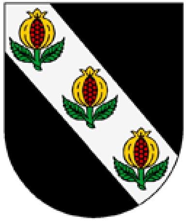 Bandera de Don Álvaro