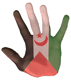 Bandera de El Saucejo