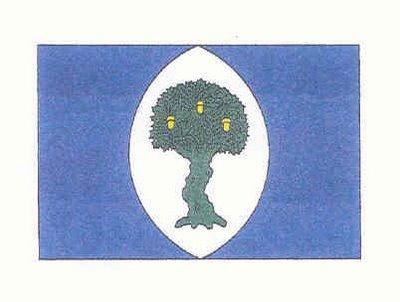 Bandera de Encinacorba