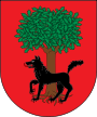 Bandera de Esteribar