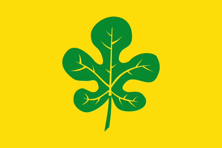 Bandera de Figuerola del Camp