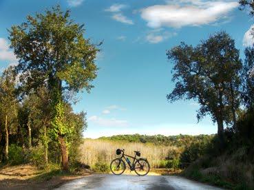 Bandera de Fogars de la Selva