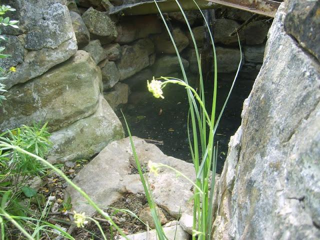 Bandera de Fuente el Fresno