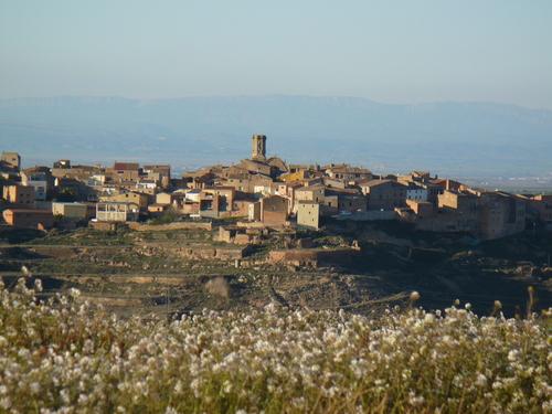 Bandera de Granyena de les Garrigues