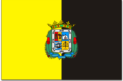 Bandera de La Aldea de San Nicolás