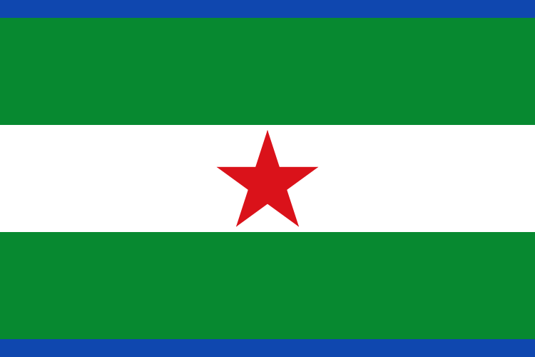 Bandera de La Parra
