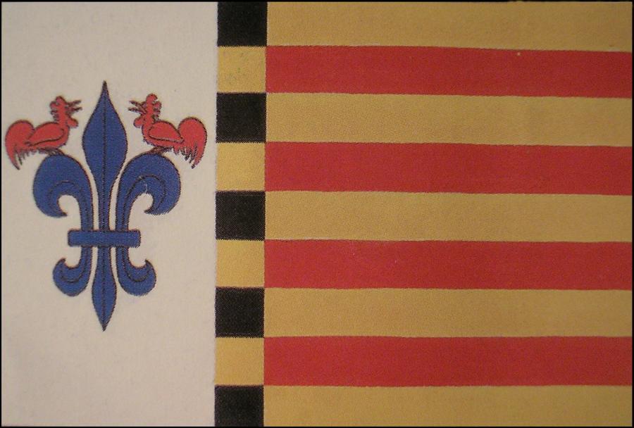 Bandera de La Zaida