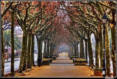 Bandera de L'Ametlla del Vallès