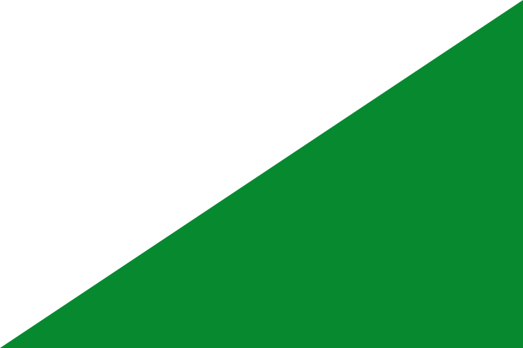 Bandera de Las Pedroñeras
