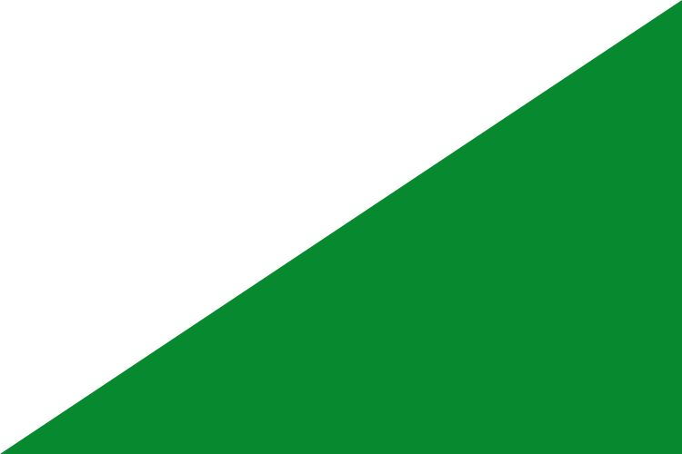 Bandera de Las Pedroñeras