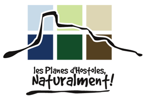 Bandera de Les Planes d'Hostoles