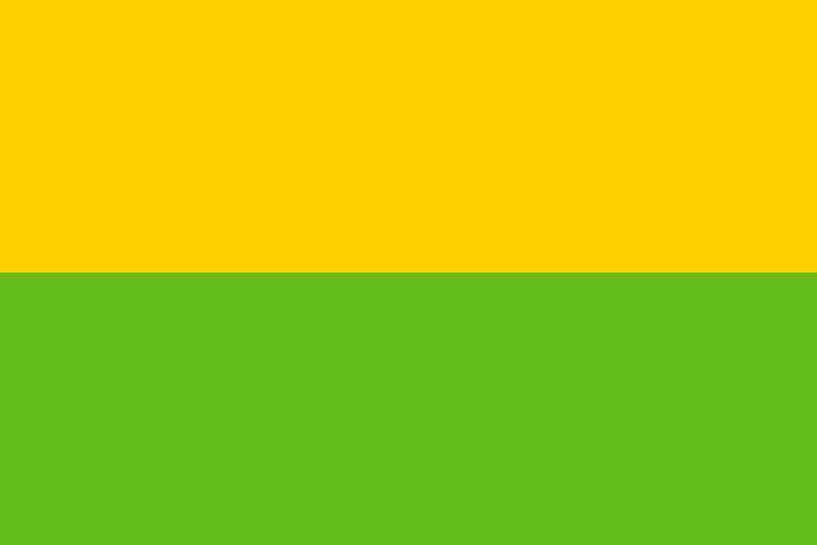 Bandera de Los Barrios