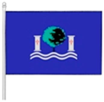 Bandera de Los Montesinos