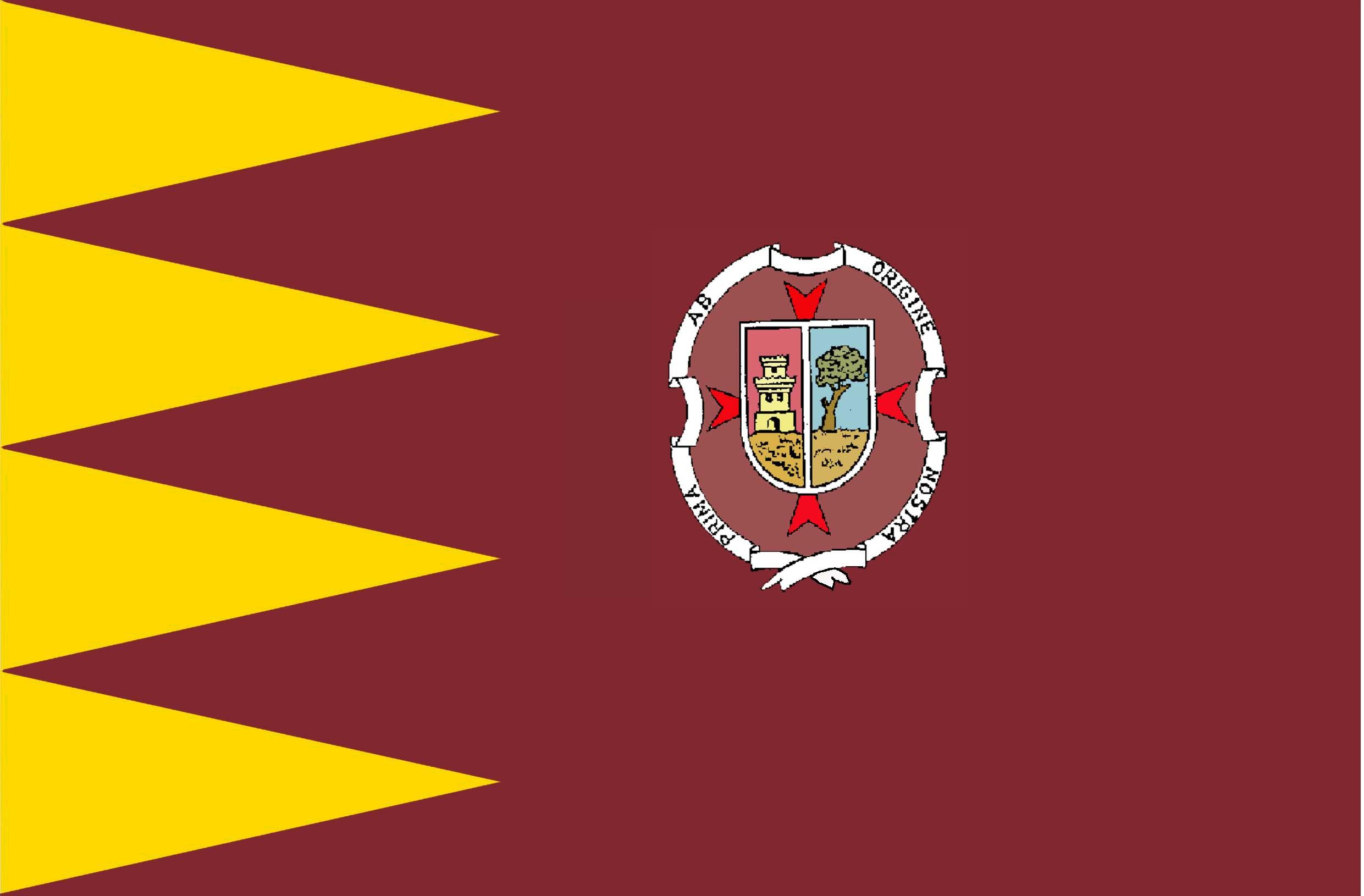 Bandera de Madridejos