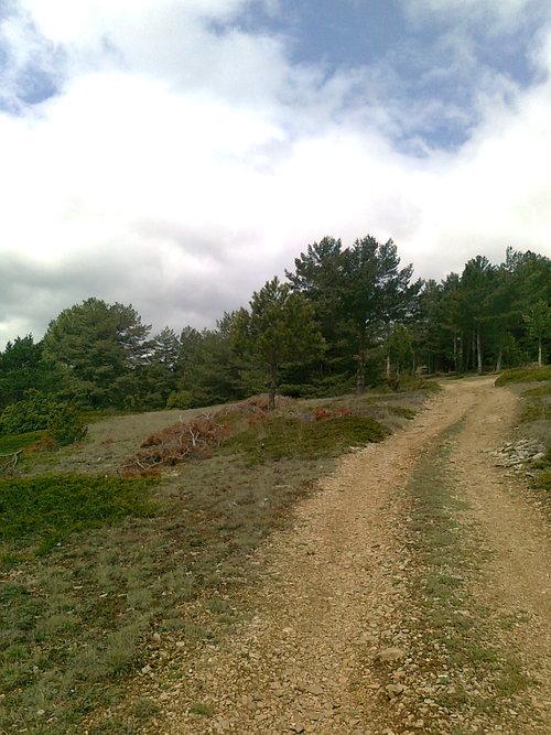 Bandera de Manzanera