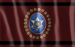 Bandera de Martín Miguel