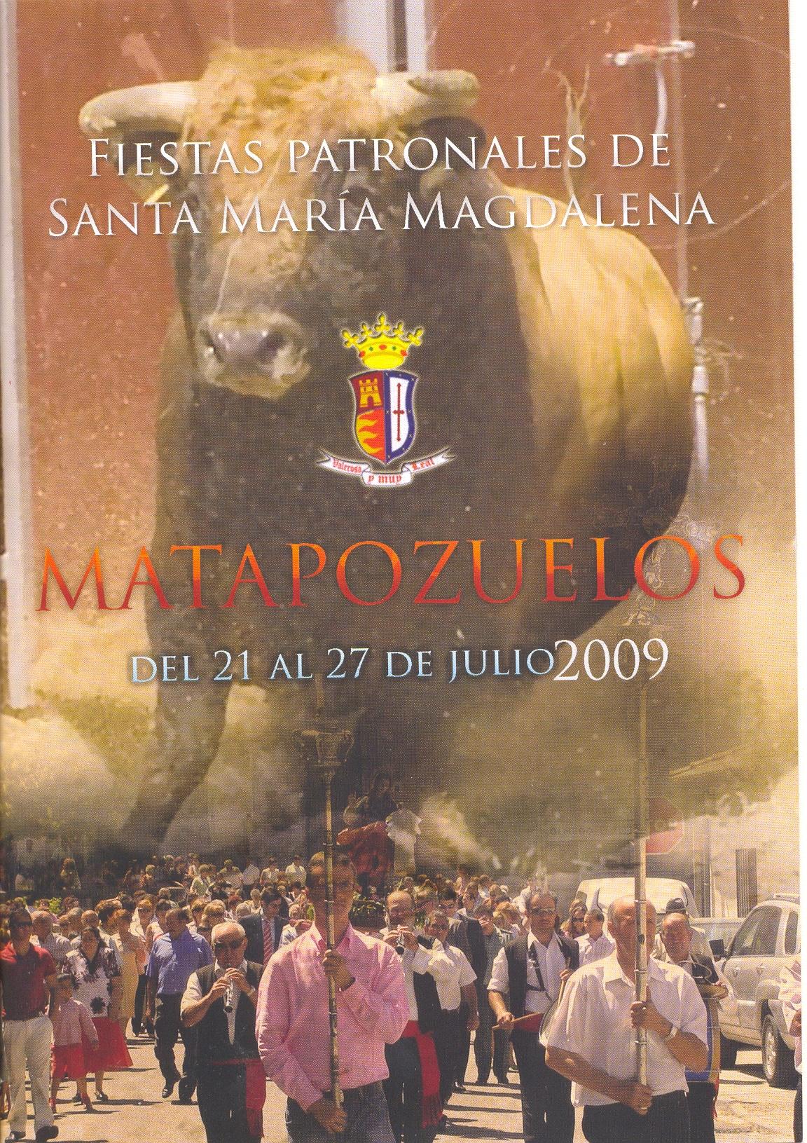Bandera de Matapozuelos