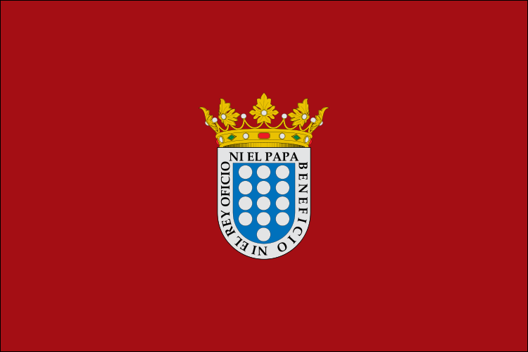 Bandera de Medina del Campo