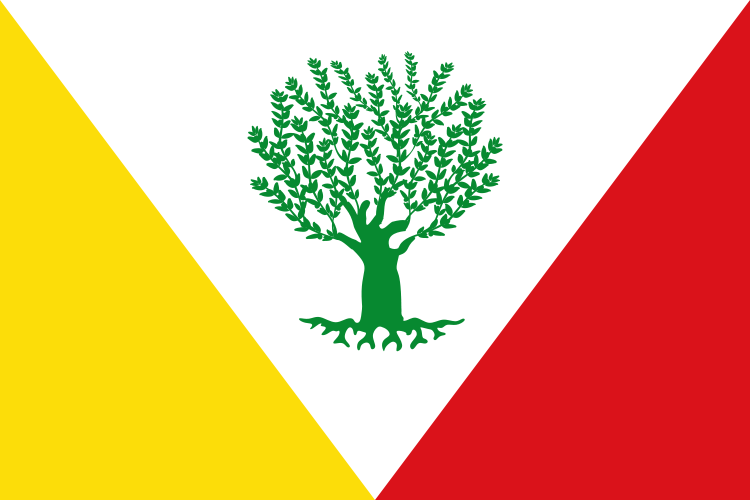 Bandera de Montejícar