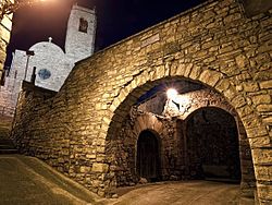 Bandera de Montoliu de Segarra