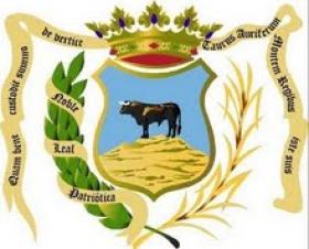 Bandera de Montoro