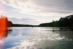 Bandera de Muñopedro