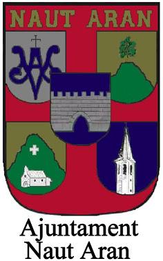 Bandera de Naut Aran