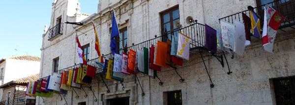 Bandera de Nava del Rey