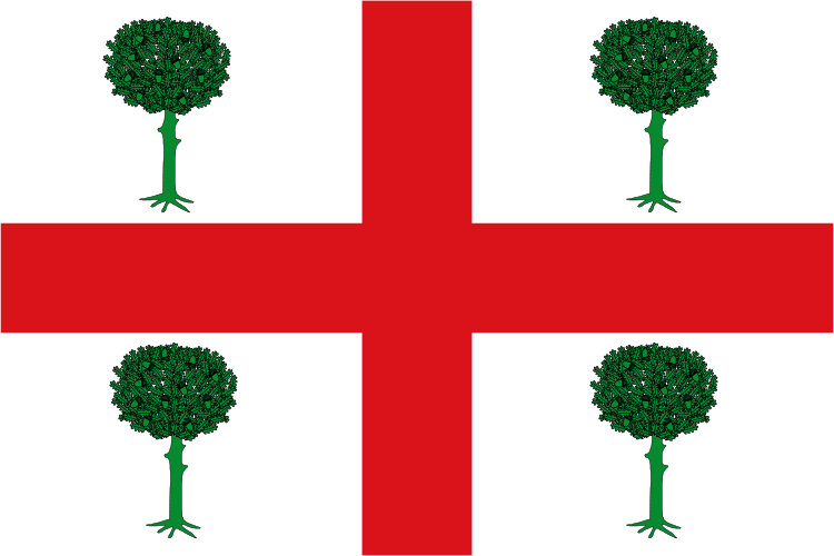 Bandera de Navalacruz