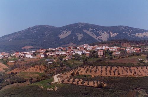 Bandera de Navalvillar de Ibor