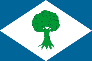 Bandera de Noceda
