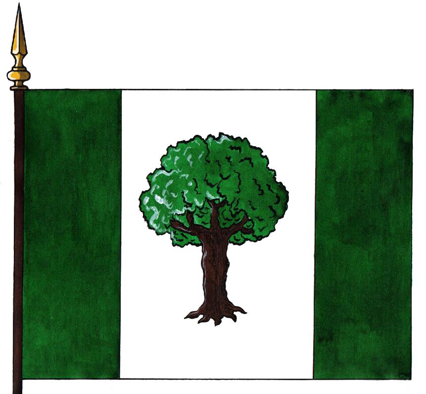 Bandera de Olivares de Júcar