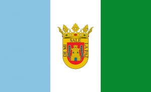 Bandera de Olvera