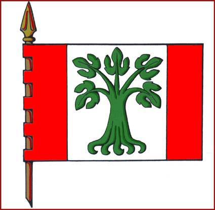 Bandera de Paderne