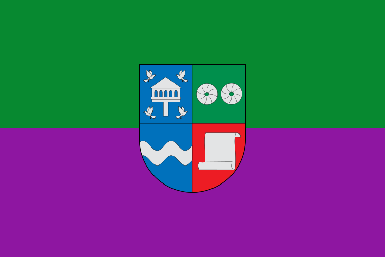 Bandera de Palomera