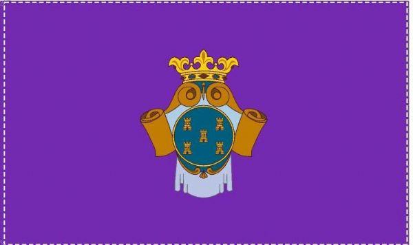 Bandera de Peñaranda de Bracamonte